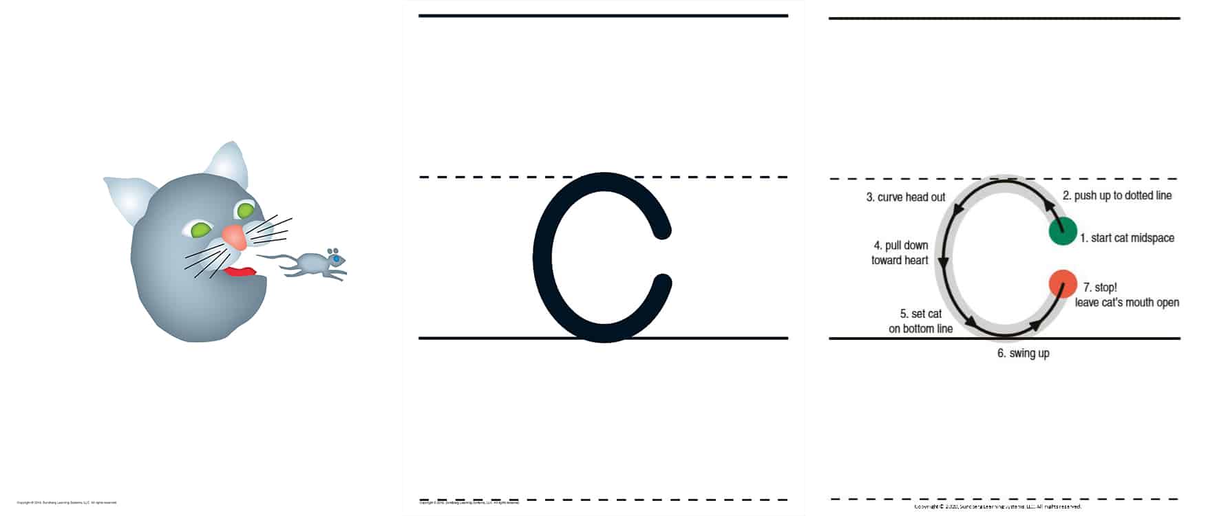 Cat Catching – Five Phases of Instruction