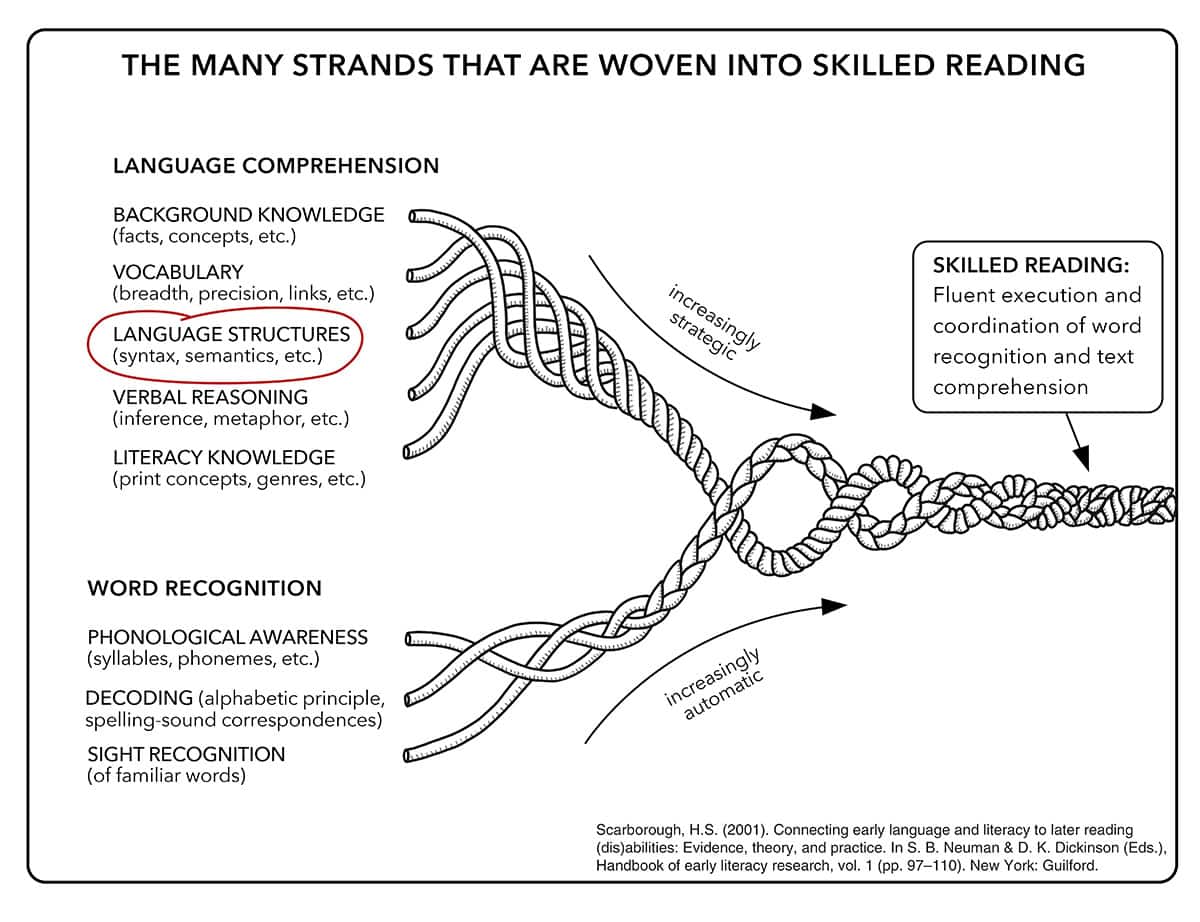 Scarbough Reading Rope 4 18 25 – Implications for the Classroom