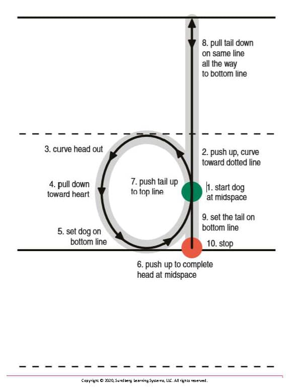 Sunform letter formation d – New Edition Sunform™ Kit